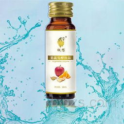 善德生物科技 以果蔬發酵飲品為媒，誠邀上海伙伴共拓健康藍海